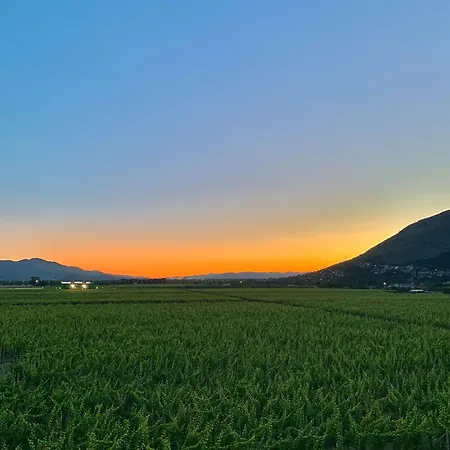 View7